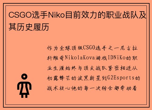 CSGO选手Niko目前效力的职业战队及其历史履历